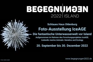Begegnungen_2022_Island_Website